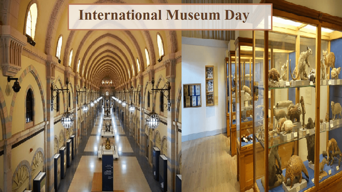 International Museum Day 